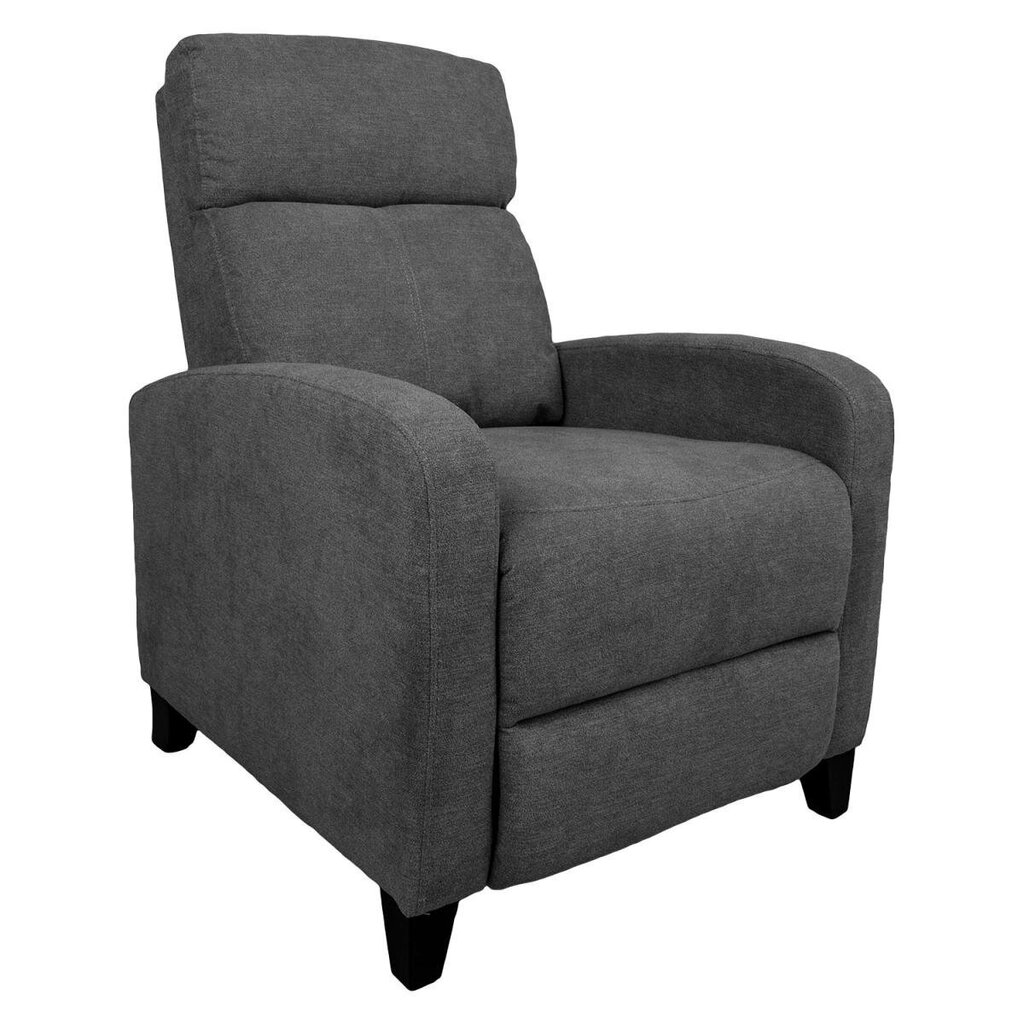 Tugitool Enigma manuaalne recliner 68x91xH100cm, hall цена и информация | Tugitoolid ja tugitoolvoodid | kaup24.ee