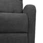 Tugitool Enigma manuaalne recliner 68x91xH100cm, hall цена и информация | Tugitoolid ja tugitoolvoodid | kaup24.ee