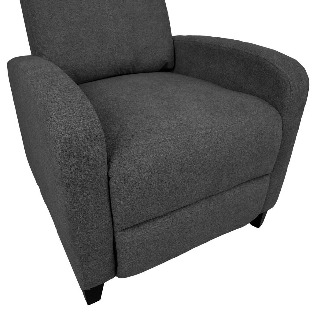 Tugitool Enigma manuaalne recliner 68x91xH100cm, hall цена и информация | Tugitoolid ja tugitoolvoodid | kaup24.ee