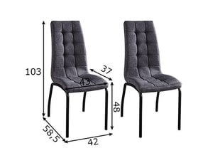 Набор обеденных стульев, 2 шт., светло-серый цена и информация | Стулья для кухни и столовой | kaup24.ee
