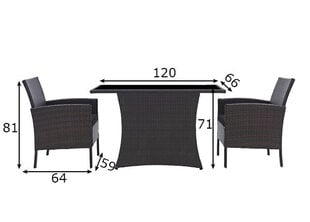 Комплект мебели для отдыха цена и информация | Комплекты уличной мебели | kaup24.ee