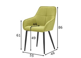 Обеденный стул, зеленый цена и информация | Стулья для кухни и столовой | kaup24.ee