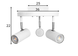 Потолочный светильник Globen Lighting цена и информация | Потолочные светильники | kaup24.ee