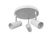 Globen Lighting laevalgusti hind ja info | Laelambid | kaup24.ee