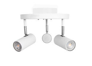 Globen Lighting laevalgusti hind ja info | Laelambid | kaup24.ee