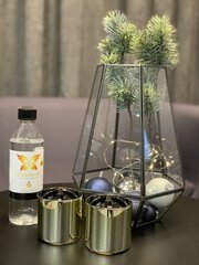 Biokamin Tenderflame Gift Set hind ja info | Küünlad, küünlajalad | kaup24.ee