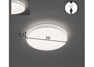 Потолочный светильник Fischer & Honsel Tex BS LED, 891099647 цена и информация | Потолочные светильники | kaup24.ee