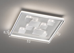 Светодиодный потолочный светильник Fischer & Honsel Rico LED, 891099648 цена и информация | Потолочные светильники | kaup24.ee