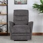 Tugitool Barclay 79x86xH105cm, elektriline lift recliner, hall цена и информация | Tugitoolid ja tugitoolvoodid | kaup24.ee