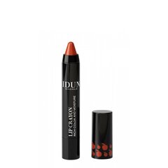 IDUN HUULEPULK-PLIIATS LIP CRAYON BARBRO 2,5G цена и информация | Помады, бальзамы, блеск для губ | kaup24.ee