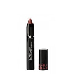 IDUN HUULEPULK-PLIIATS LIP CRAYON JENNY 2,5G hind ja info | Huulepulgad, -läiked, -palsamid, vaseliin | kaup24.ee