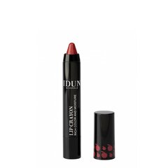 IDUN HUULEPULK-PLIIATS LIP CRAYON MONICA 2,5G hind ja info | Huulepulgad, -läiked, -palsamid, vaseliin | kaup24.ee