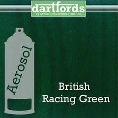 Aerosool British Racing Green hind ja info | Muusikariistade tarvikud | kaup24.ee
