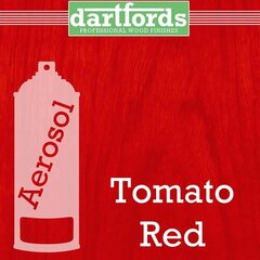 Tomato Red aerosool Dartfords FS5323 hind ja info | Muusikariistade tarvikud | kaup24.ee