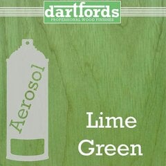 Lime Green aerosool Dartfords FS6206 hind ja info | Muusikariistade tarvikud | kaup24.ee