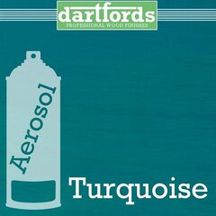 Turquoise aerosool Dartfords FS5419 hind ja info | Muusikariistade tarvikud | kaup24.ee