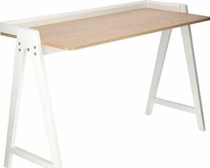 Письменный стол Intesi Malmo, коричневый/белый цена и информация | Компьютерные, письменные столы | kaup24.ee