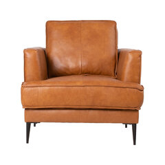 Кресло Lео, светло-коричневое цена и информация | Кресла в гостиную | kaup24.ee