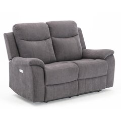 Двухместный диван Recliner Milo 155x96xH103 см, серый цена и информация | Кресла в гостиную | kaup24.ee