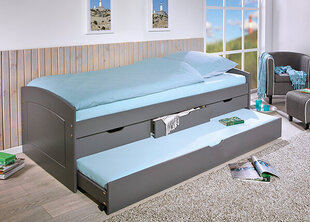 Кровать Rieka 90x200 см, серая цена и информация | Кровати | kaup24.ee