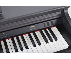 Artesia цифровое пианино DP-3 цена и информация | Клавишные музыкальные инструменты | kaup24.ee
