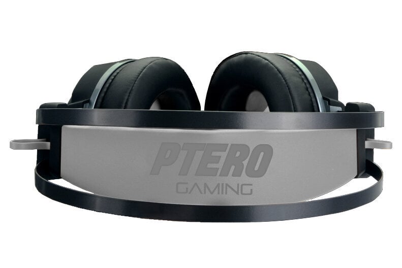 Evolveo Ptero GHX300 hind ja info | Kõrvaklapid | kaup24.ee