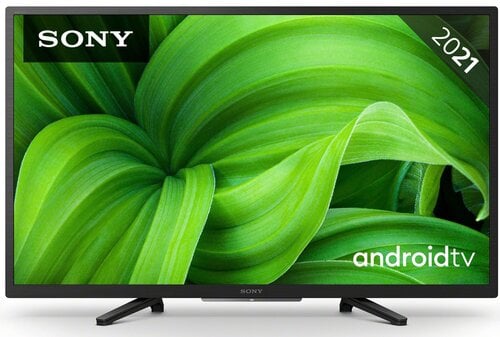 Sony KD32W800PAEP цена и информация | Телевизоры | kaup24.ee