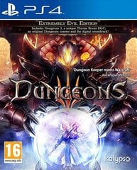 PlayStation 4 mäng Dungeons 3 цена и информация | Компьютерные игры | kaup24.ee