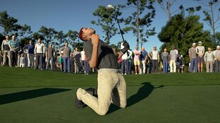 PGA Tour 2K21 (Switch) цена и информация | Компьютерные игры | kaup24.ee