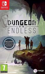 SWITCH Dungeon of the Endless цена и информация | Компьютерные игры | kaup24.ee