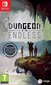 Nintendo Switch mäng Dungeon of the Endless цена и информация | Arvutimängud, konsoolimängud | kaup24.ee