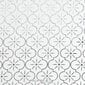 Douceur d'Intérieur pimendav kardin Genesis, valge-hõbe, 135 x 240 cm hind ja info | Kardinad | kaup24.ee