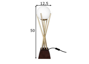 Настольная лампа Sarasota, матовая латунь цена и информация | Настольная лампа | kaup24.ee