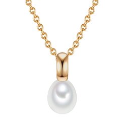 Valero Pearls kaelakee 42,0 890930543 hind ja info | Kaelakeed | kaup24.ee