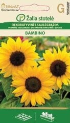 Подсолнечник Bambino цена и информация | Семена цветов | kaup24.ee