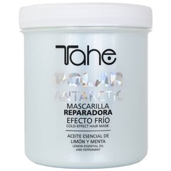 Маска для волос Tahe Polar Antarctic, 700 мл цена и информация | Маски, масла, сыворотки | kaup24.ee