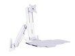 Workstation Arm Single, 7350073734351 цена и информация | Monitori hoidjad | kaup24.ee