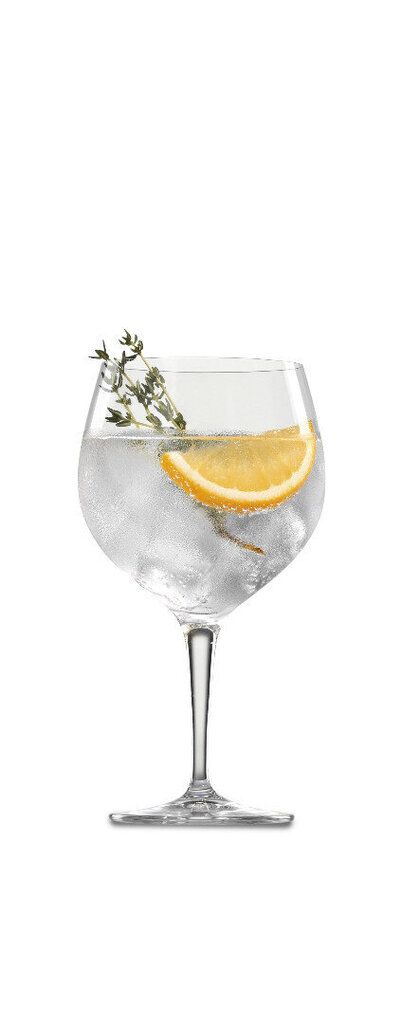 Spiegelau Gin & Tonic klaasid, 4 tk цена и информация | Klaasid, tassid ja kannud | kaup24.ee