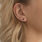 Glanzstuecke kõrvarõngad 890693584 hind ja info | Kõrvarõngad | kaup24.ee