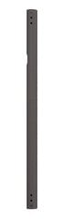 NEOMOUNTS BY NEWSTAR PRO - CEILING MOUNT EXTENSION POLE - 80 CM BLACK цена и информация | Кронштейны и крепления для телевизоров | kaup24.ee