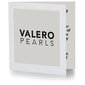 Valero Pearls kaelakee 42,0 cm basic chain 890675752 hind ja info | Kaelakeed | kaup24.ee