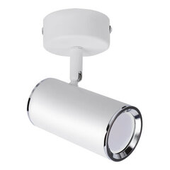 Белый настенный и потолочный светильник Strühm 122 x 70 x 108 мм цена и информация | Потолочные светильники | kaup24.ee