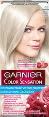 Kauapüsiv juuksevärv Garnier Color Sensation 110 ml, S9 Silver Ash Blond hind ja info | Juuksevärvid | kaup24.ee