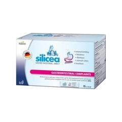 Пищевая добавка-  гель для желудочно-кишечного тракта Silicea Gastrointestinal Gel Direct, 15 x 15 мл цена и информация | Витамины, пищевые добавки, препараты для хорошего самочувствия | kaup24.ee