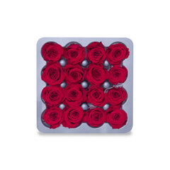 Stabiliseeritud Printsess Roos, 16 tk, punane hind ja info | Uinuvad roosid, taimed | kaup24.ee