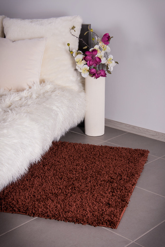 Vaip Shaggy Brown, 80 x 150 cm hind ja info | Vaibad | kaup24.ee