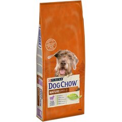 Purina Dog Chow корм для взрослых собак, с бараниной, 14кг цена и информация |  Сухой корм для собак | kaup24.ee