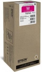 Epson C13T974300 hind ja info | Tindiprinteri kassetid | kaup24.ee