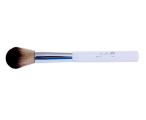 Кисть для румян BioNike Defence Color Blush Brush, 1 шт. цена и информация | Кисти для макияжа, спонжи | kaup24.ee