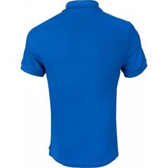 Meeste spordisärk Nike Team Core Polo M 454800 463 hind ja info | Meeste spordiriided | kaup24.ee